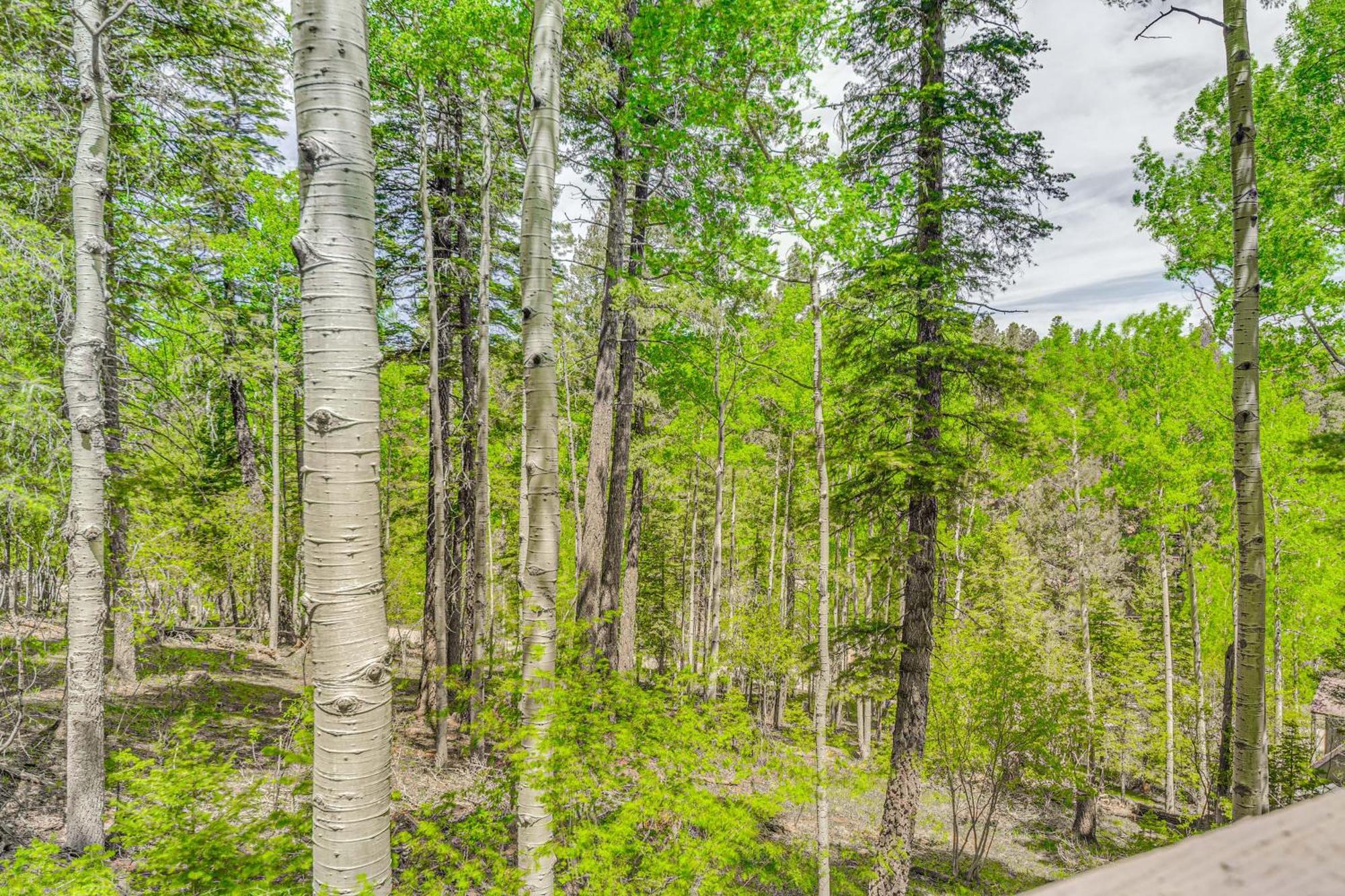 Quaint Cloudcroft Cabin With Stunning Forest Views! Exterior photo